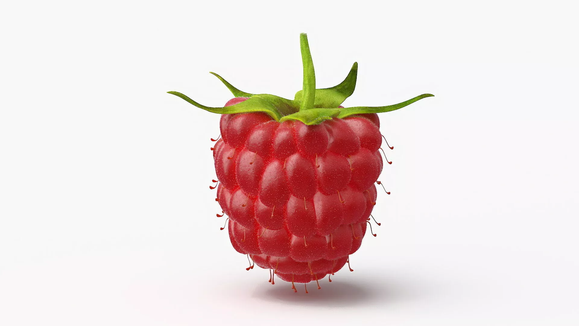 Red Ripe Raspberry with Fur 3D model