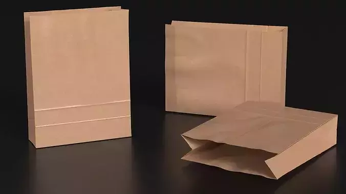 Paper Shopping Bag 3D model 4