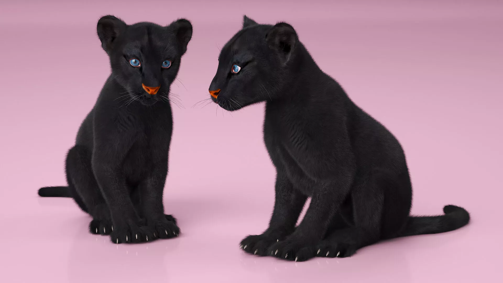 Black Panther Cub Sitting Pose with Fur 3D model