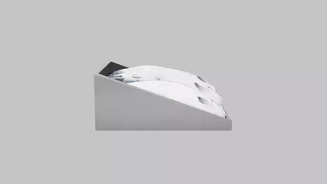 Fresh Whole Salmon in Crate Low-poly 3D model 3