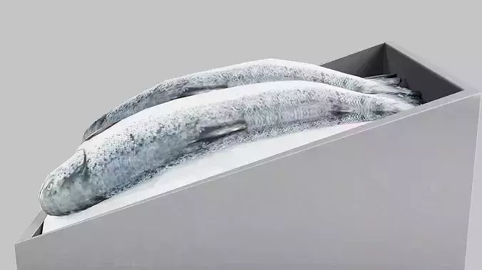 Fresh Whole Salmon in Crate Low-poly 3D model 5