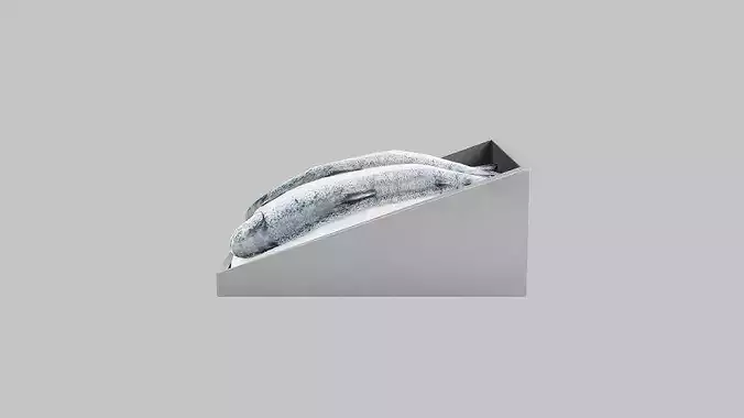 Fresh Whole Salmon in Crate Low-poly 3D model 4