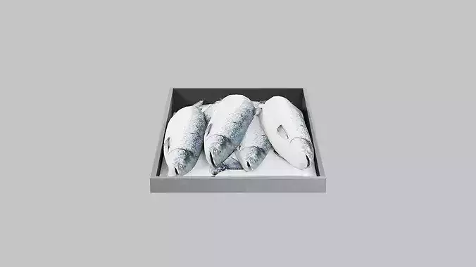 Fresh Whole Salmon in Crate Low-poly 3D model 7