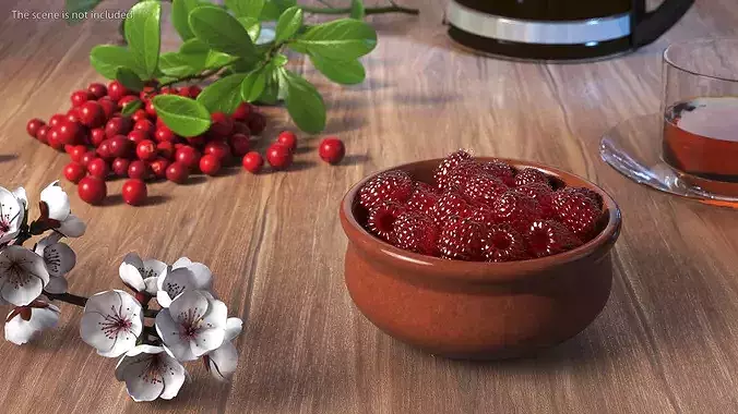 Raspberries in Bowl 3D model 2