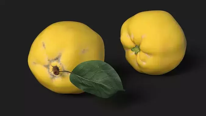 Quince 3D model 5