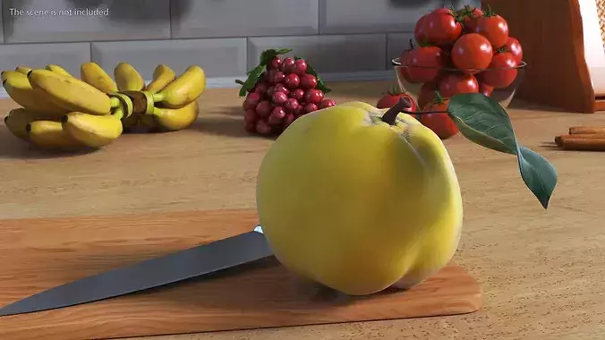 Quince 3D model 3