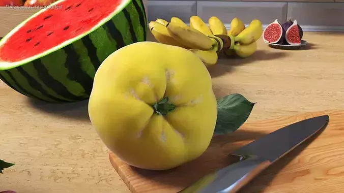 Quince 3D model 4