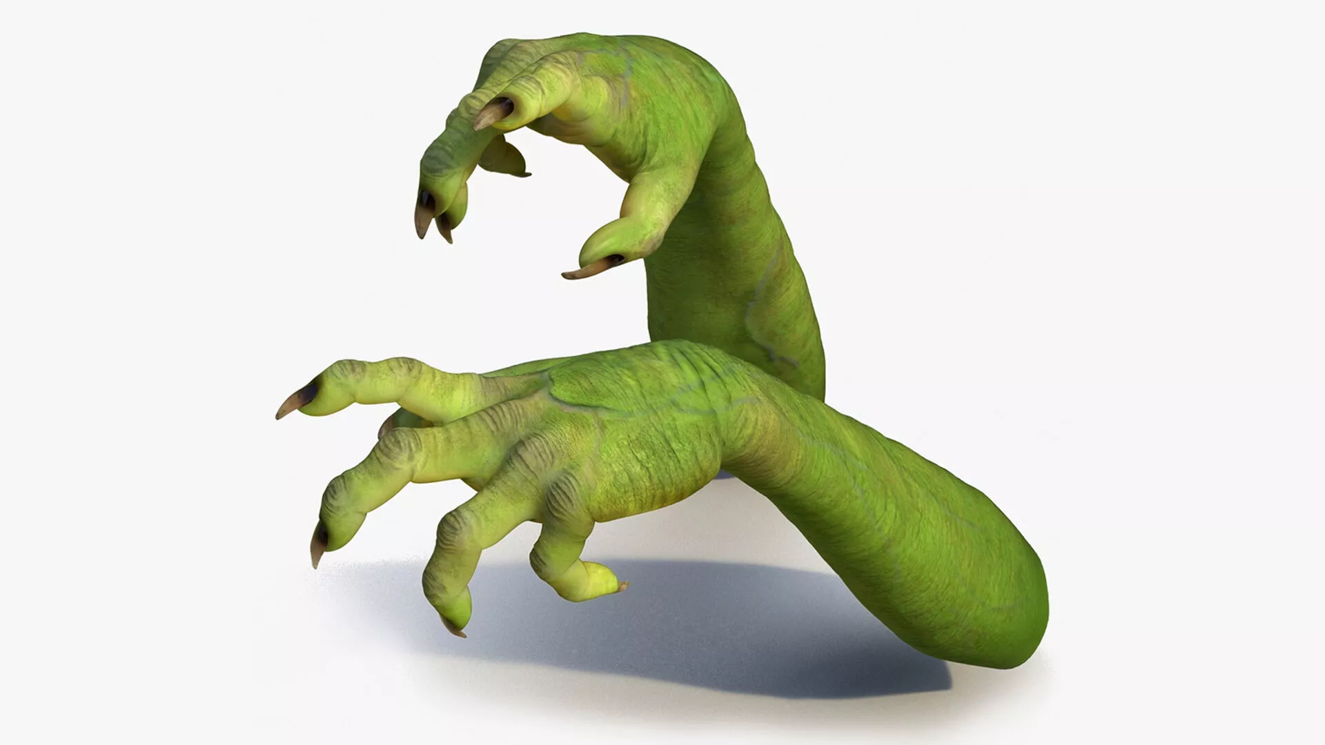 Witch Hands Rigged for Maya 3D model