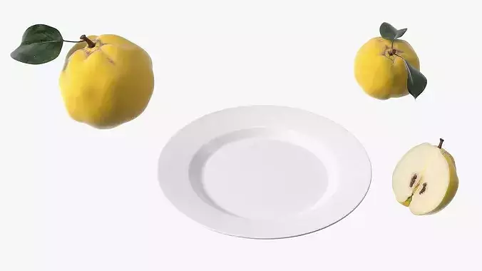 Quince on Plate 3D model 6