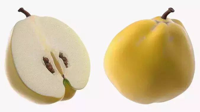 Quince on Plate 3D model 7