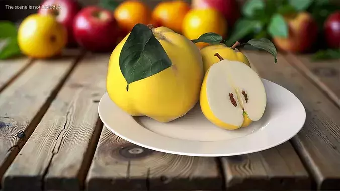 Quince on Plate 3D model 2
