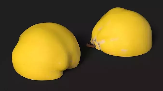 Half Quince 3D model 5