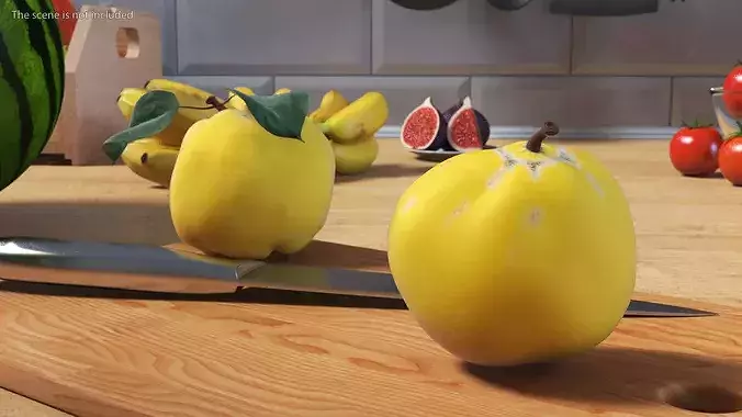 Half Quince 3D model 3