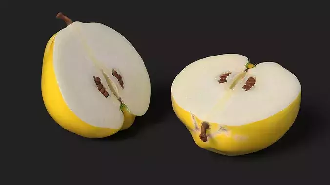 Half Quince 3D model 4