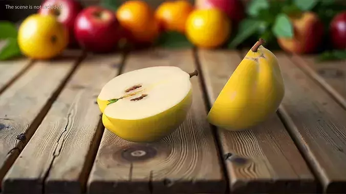 Half Quince 3D model 2
