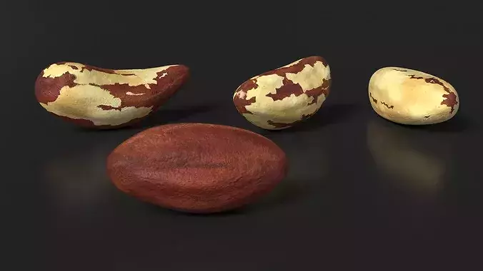Ice Cream with Brazil Nuts 3D model 7