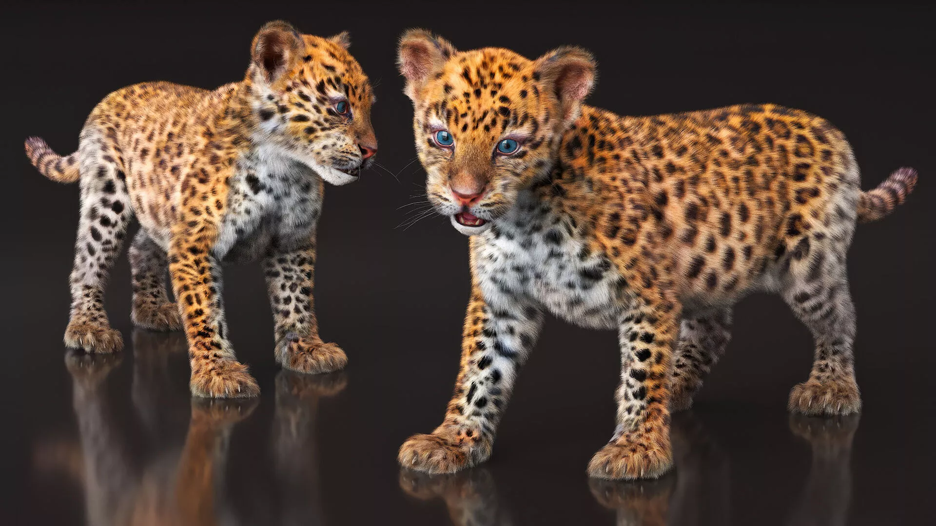 Baby Leopard Cub Fur 3D model