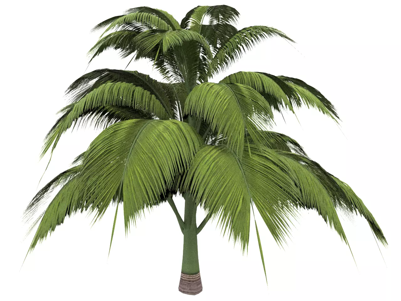 NMA Tree 002-1 Low-poly 3D model