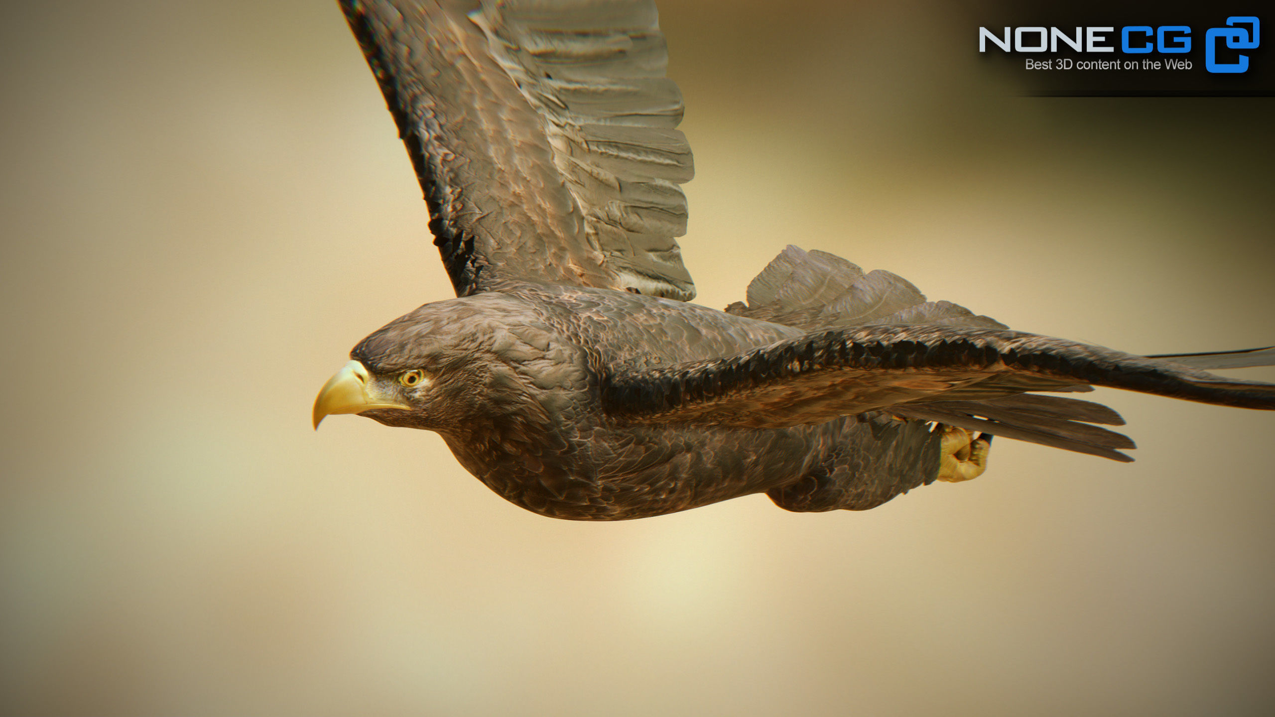 Golden Eagle v3 - Unity Low-poly 3D model_3