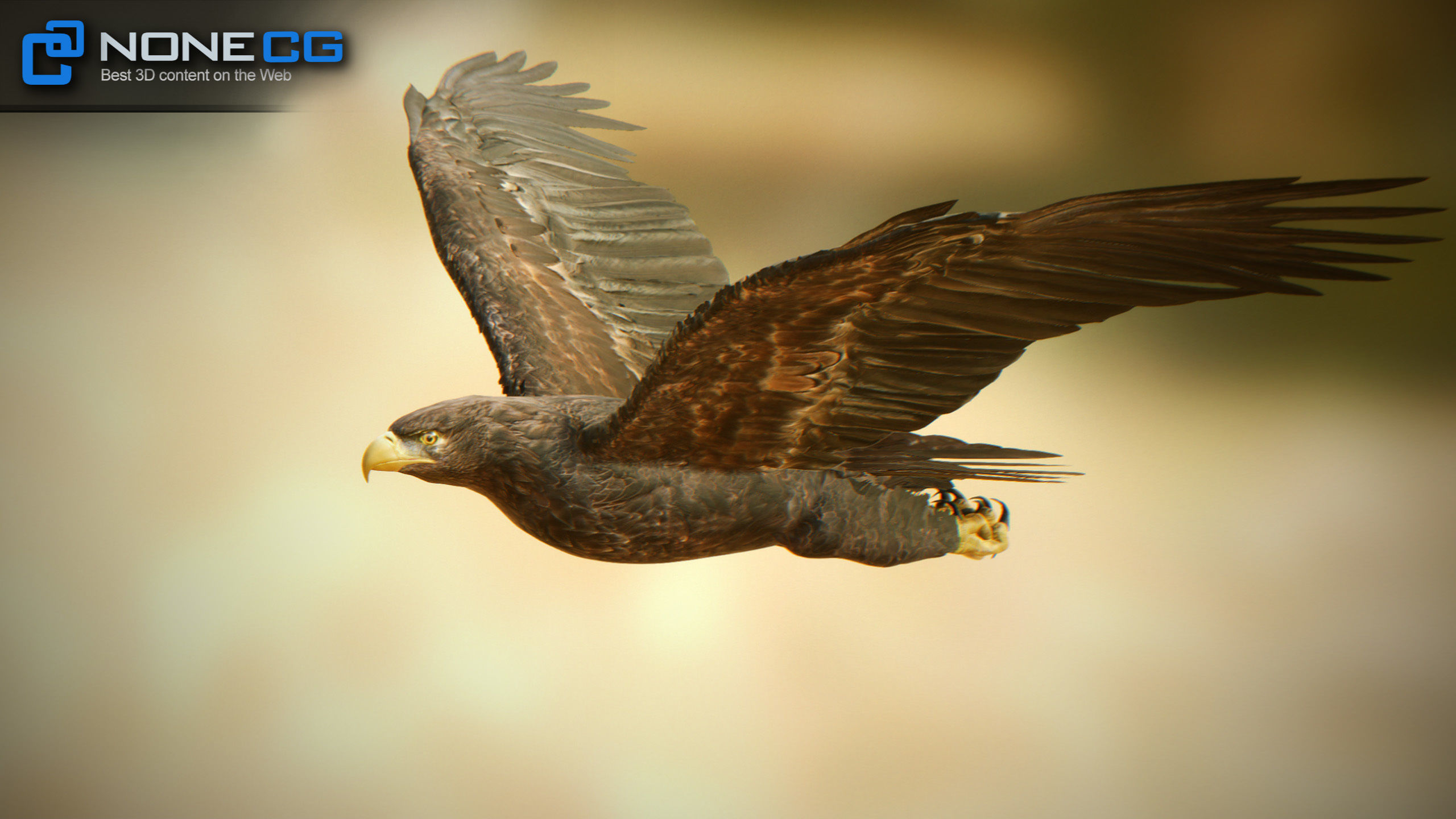 Golden Eagle v3 - Unity Low-poly 3D model_2