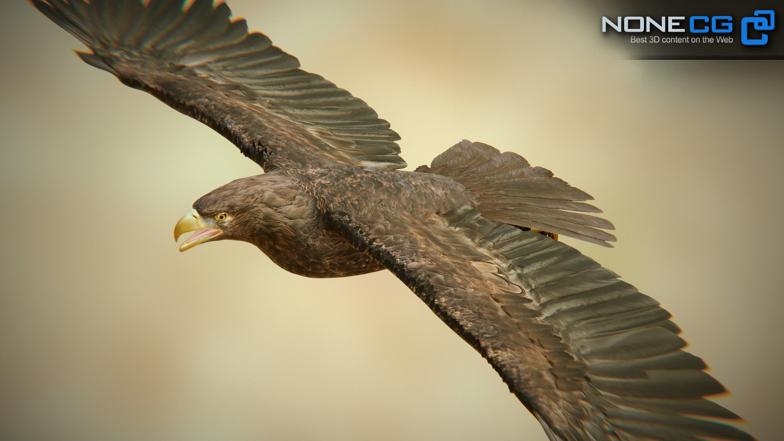 Golden Eagle v3 - Unity Low-poly 3D model_14