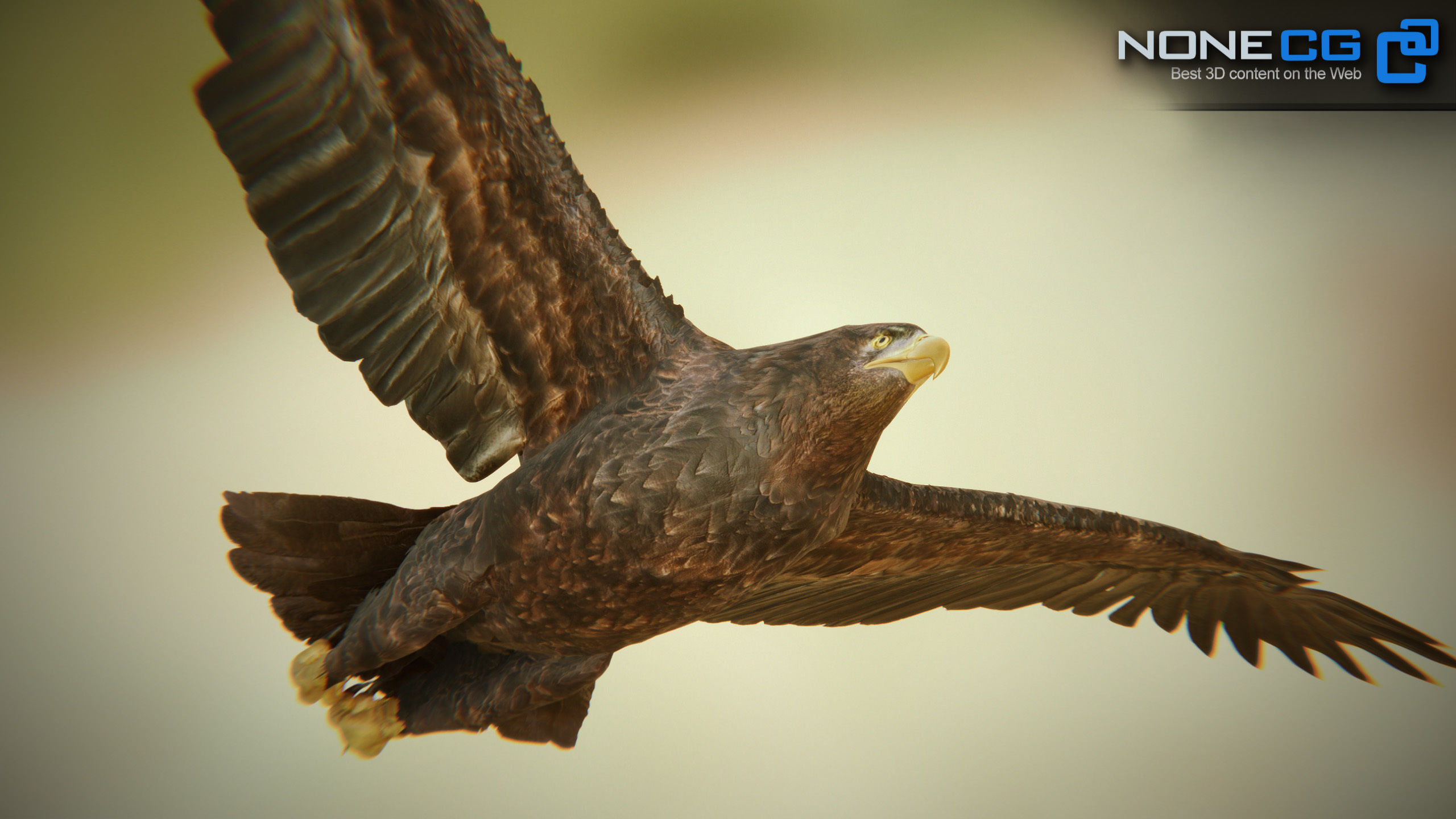 Golden Eagle v3 - Unity Low-poly 3D model_19