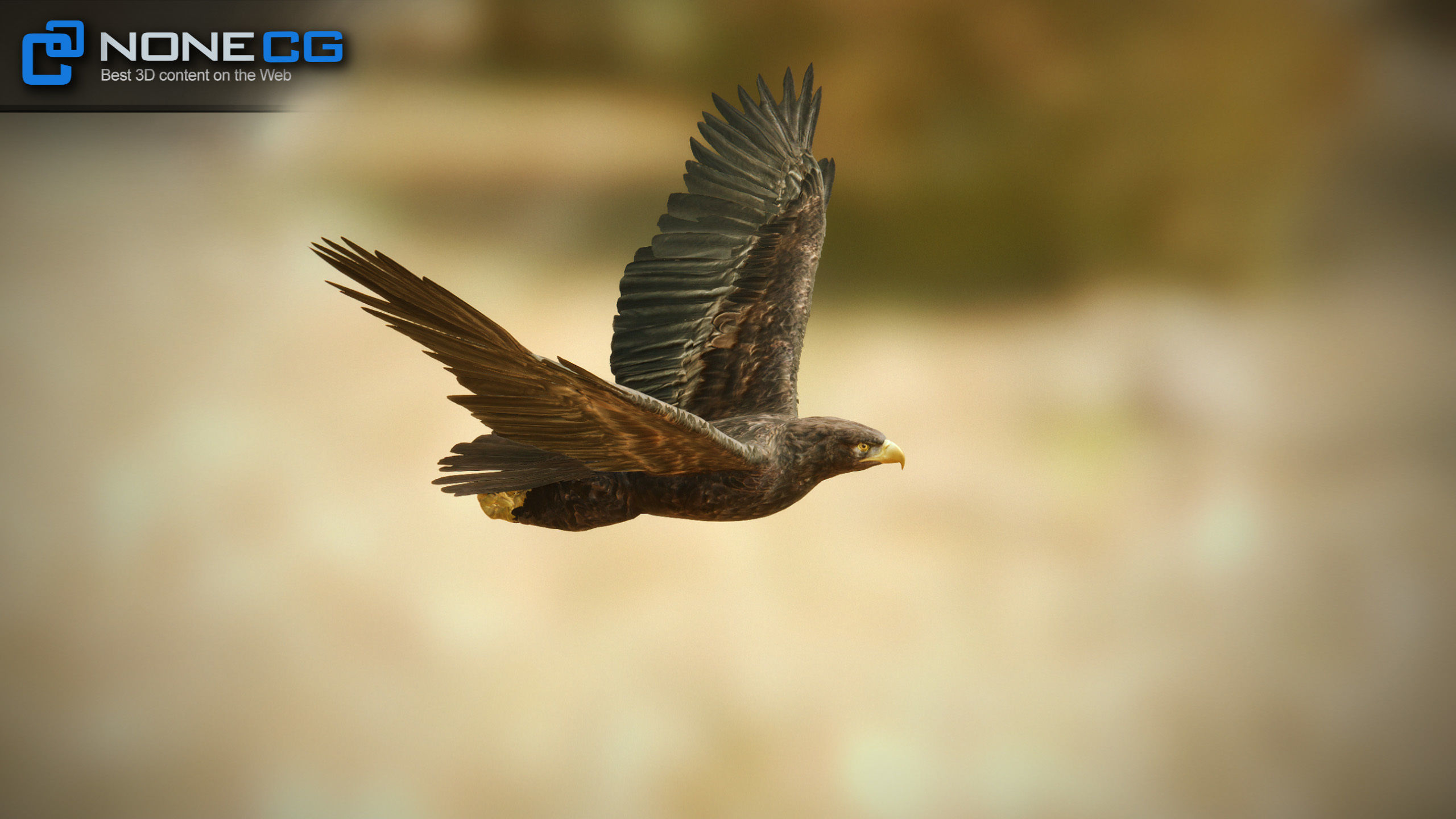 Golden Eagle v3 - Unity Low-poly 3D model_20