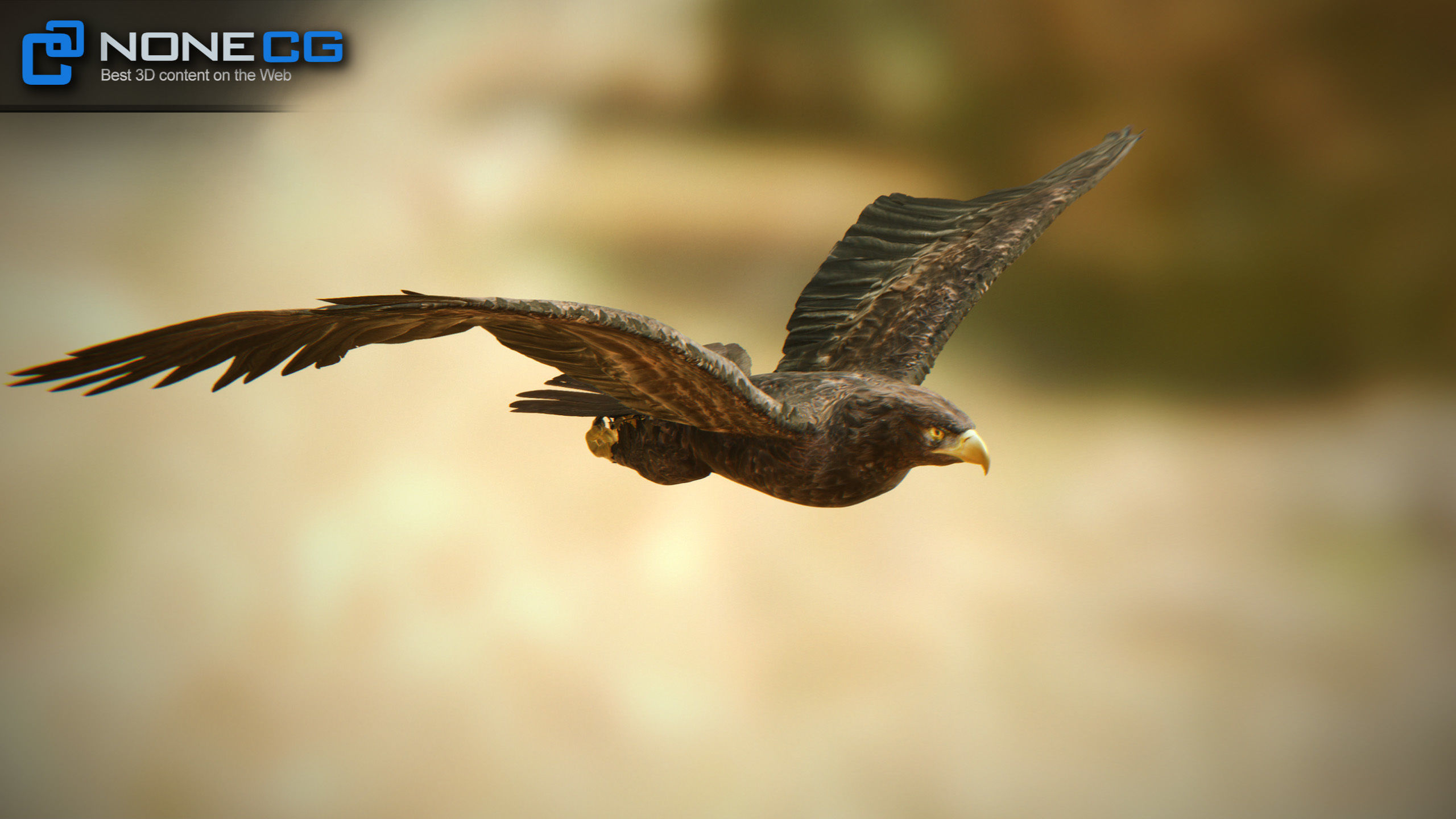 Golden Eagle v3 - Unity Low-poly 3D model_9
