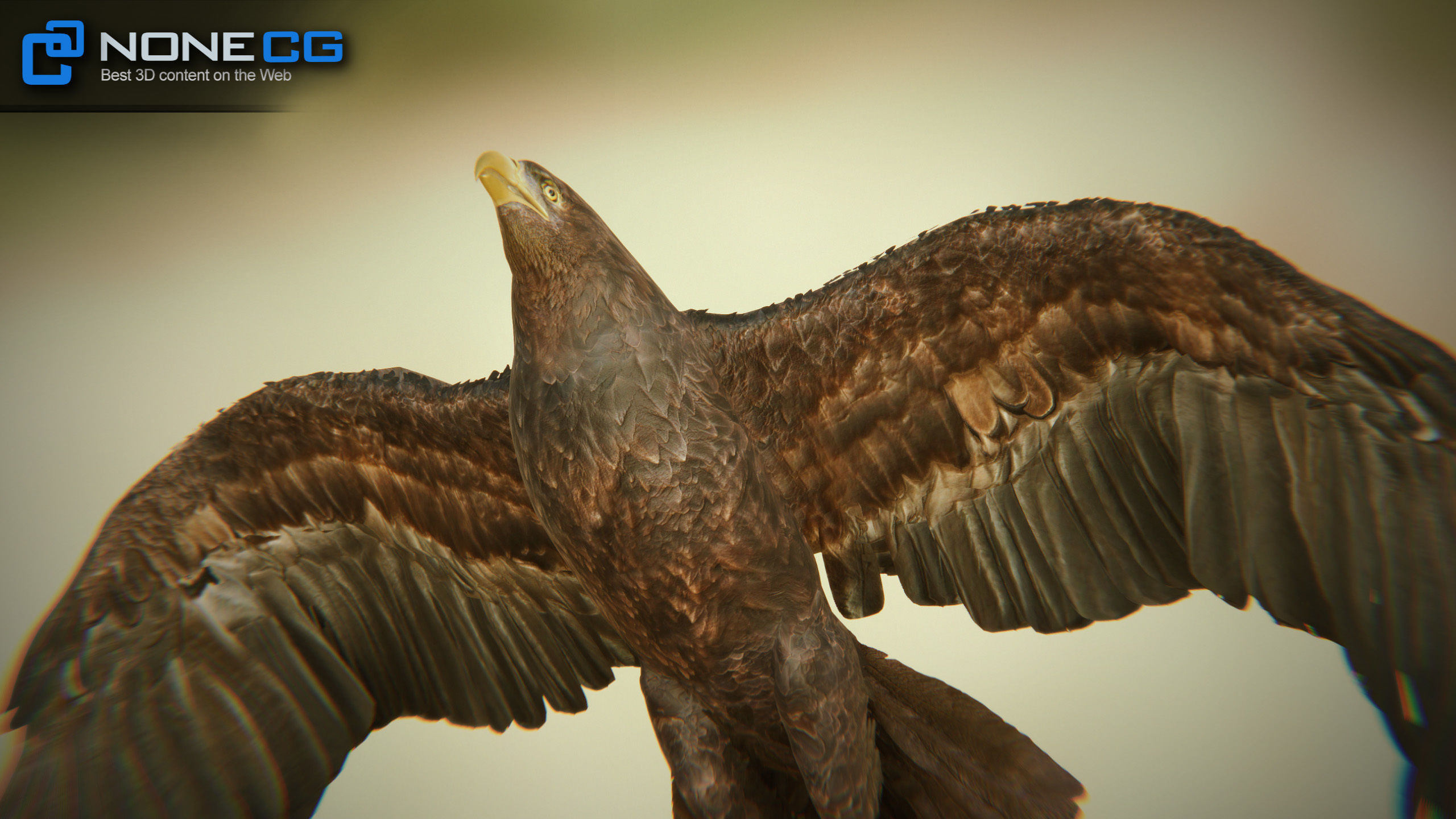 Golden Eagle v3 - Unity Low-poly 3D model_18