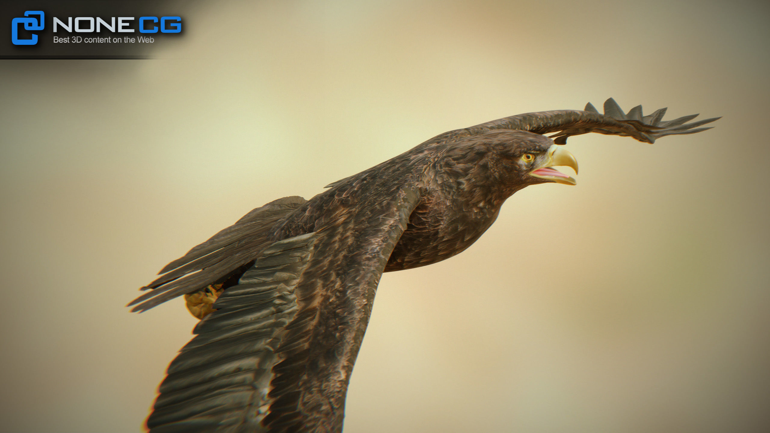 Golden Eagle v3 - Unity Low-poly 3D model_8