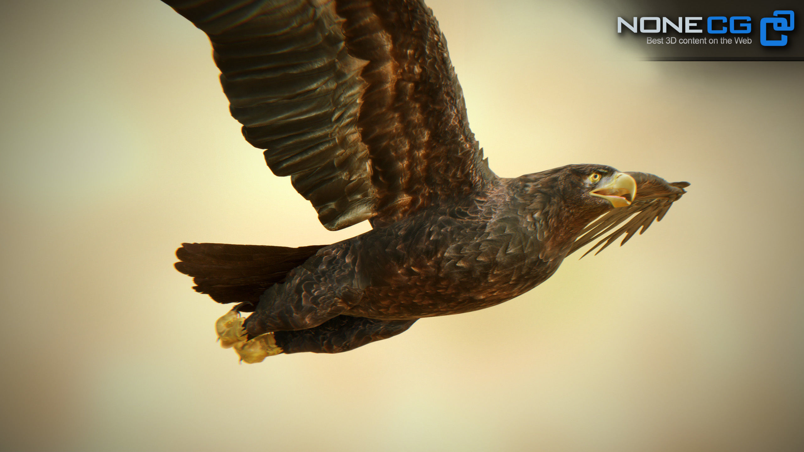 Golden Eagle v3 - Unity Low-poly 3D model_7