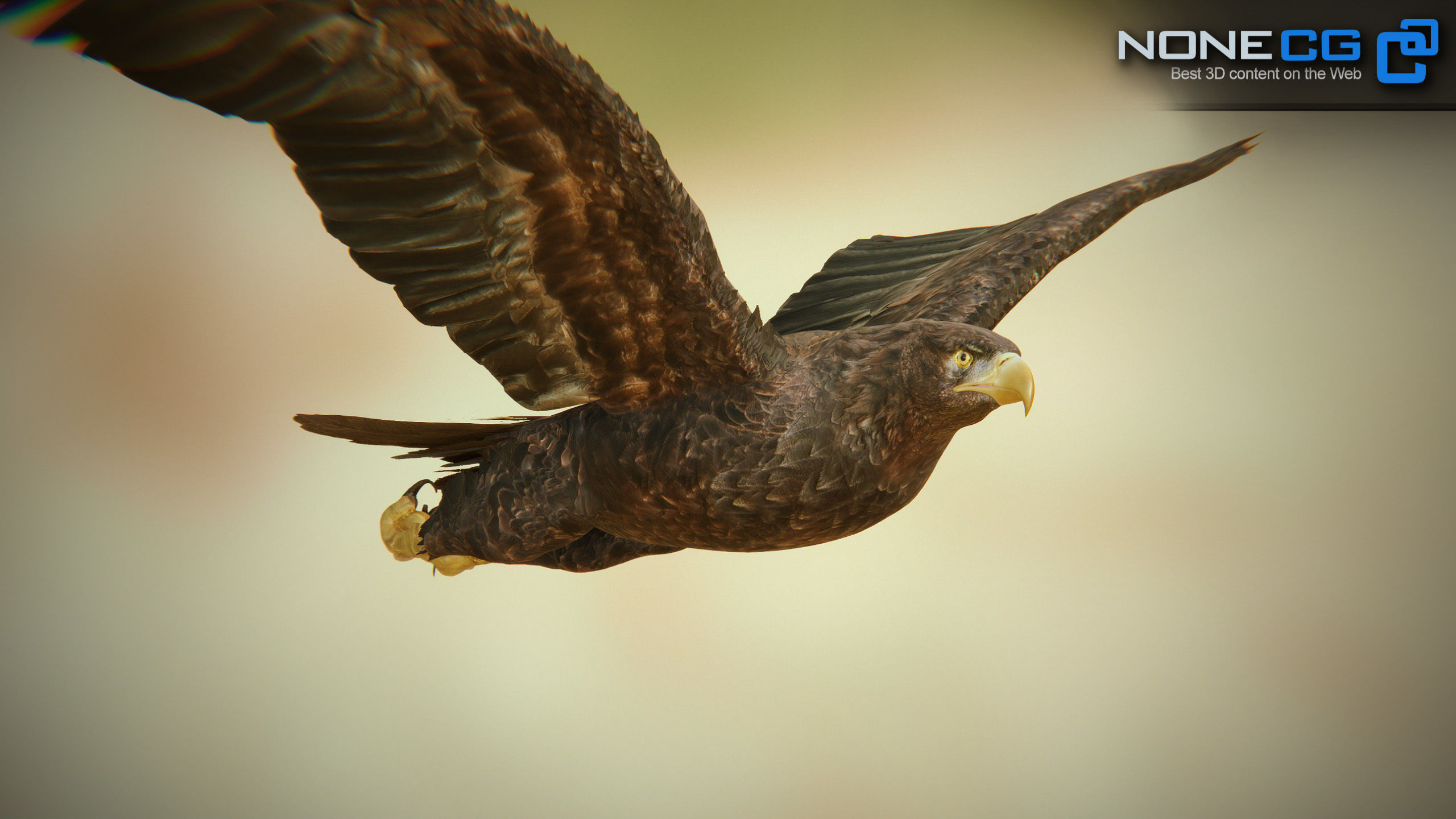 Golden Eagle v3 - Unity Low-poly 3D model_15