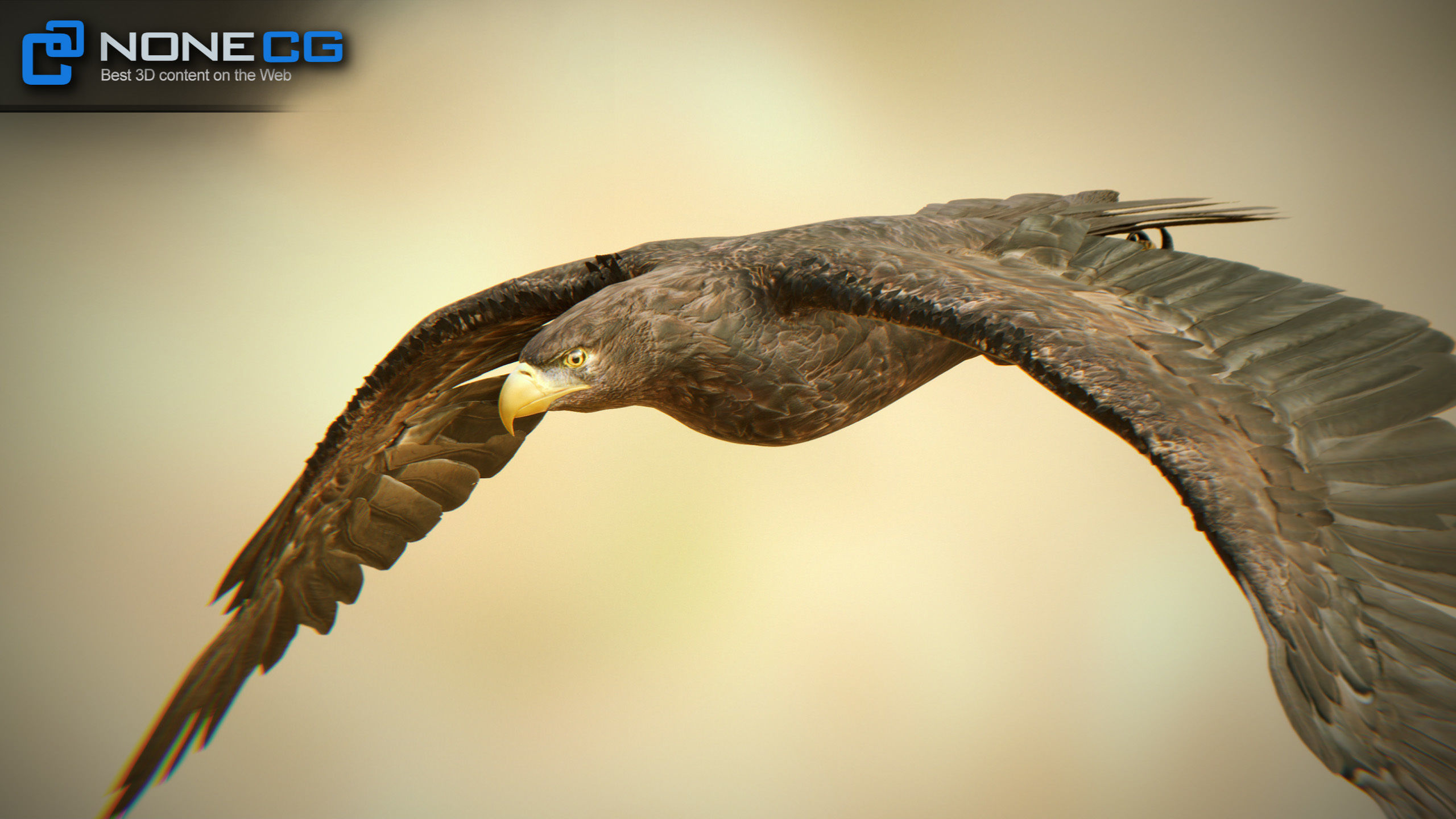 Golden Eagle v3 - Unity Low-poly 3D model_4