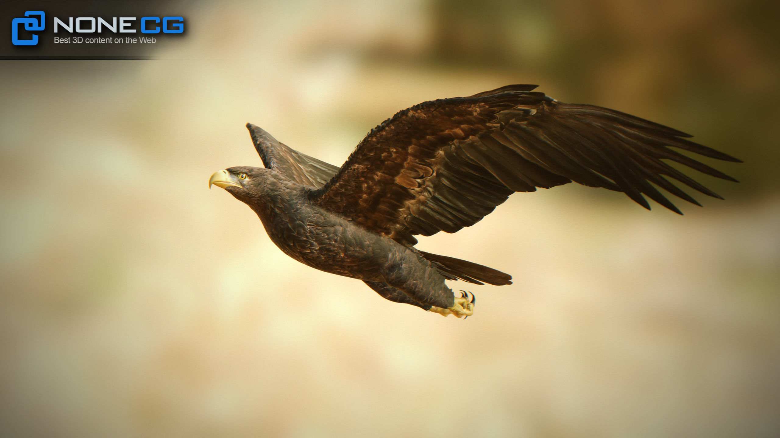 Golden Eagle v3 - Unity Low-poly 3D model_10