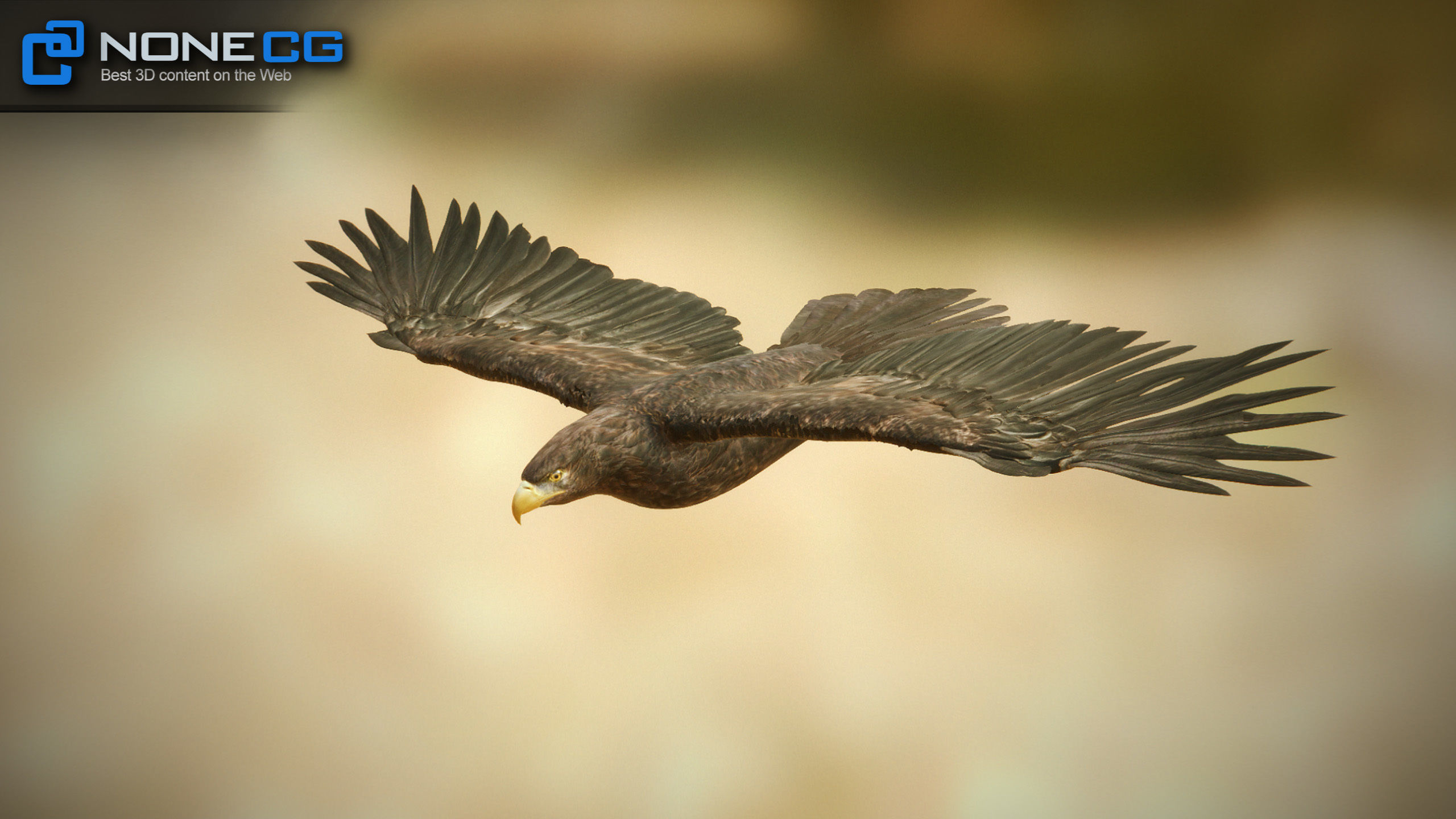 Golden Eagle v3 - Unity Low-poly 3D model_21