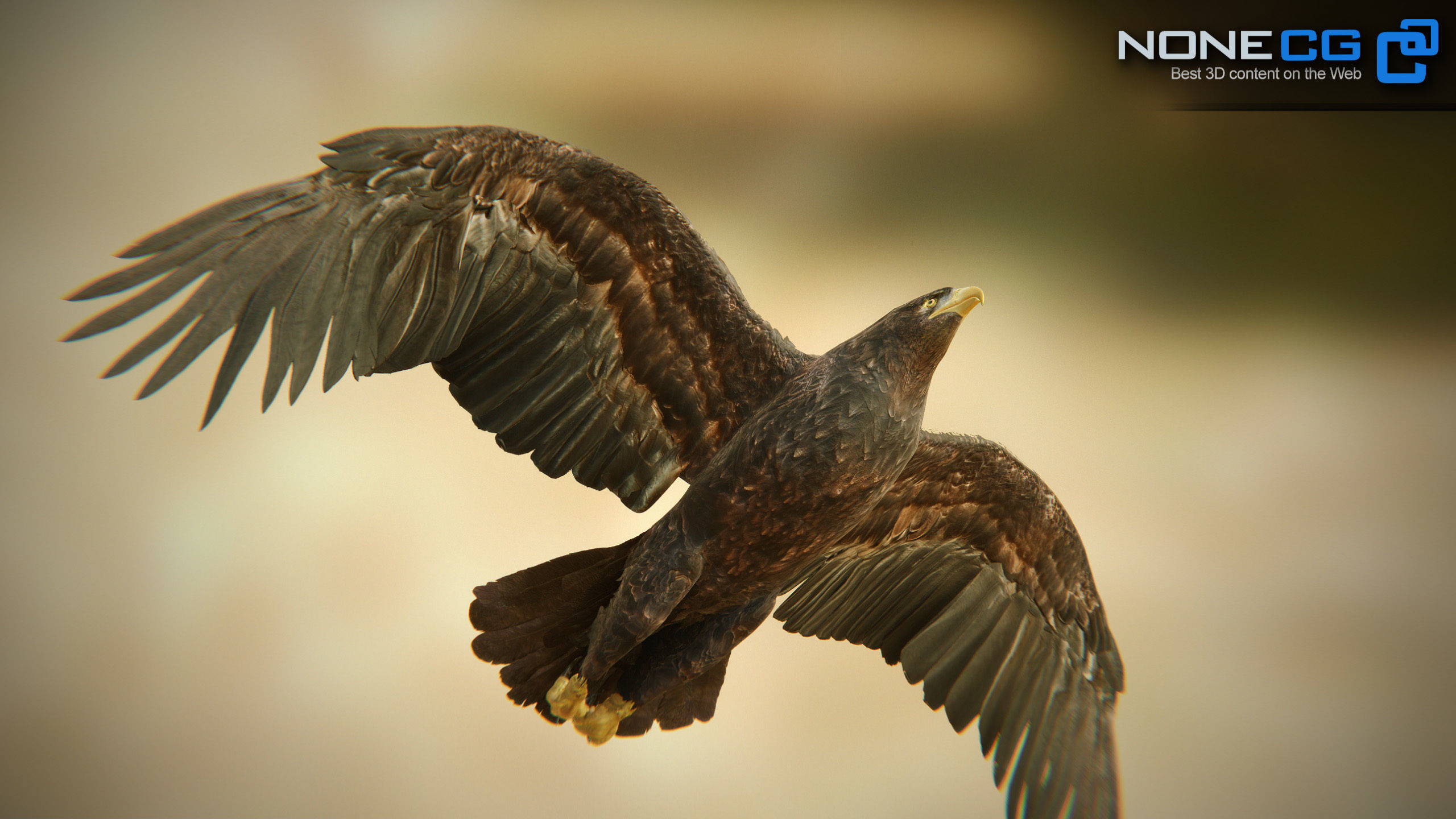 Golden Eagle v3 - Unity Low-poly 3D model_13