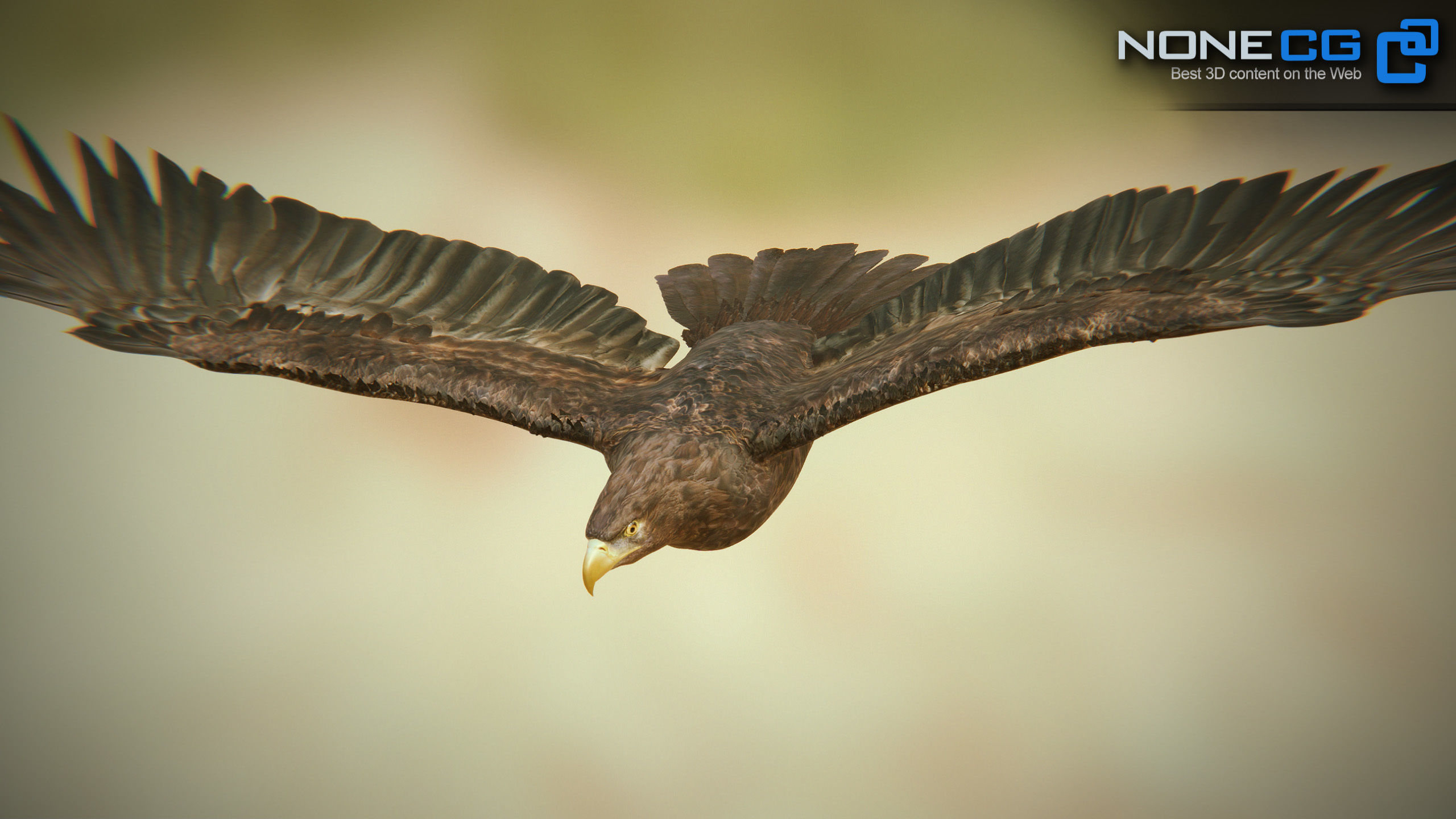 Golden Eagle v3 - Unity Low-poly 3D model_16