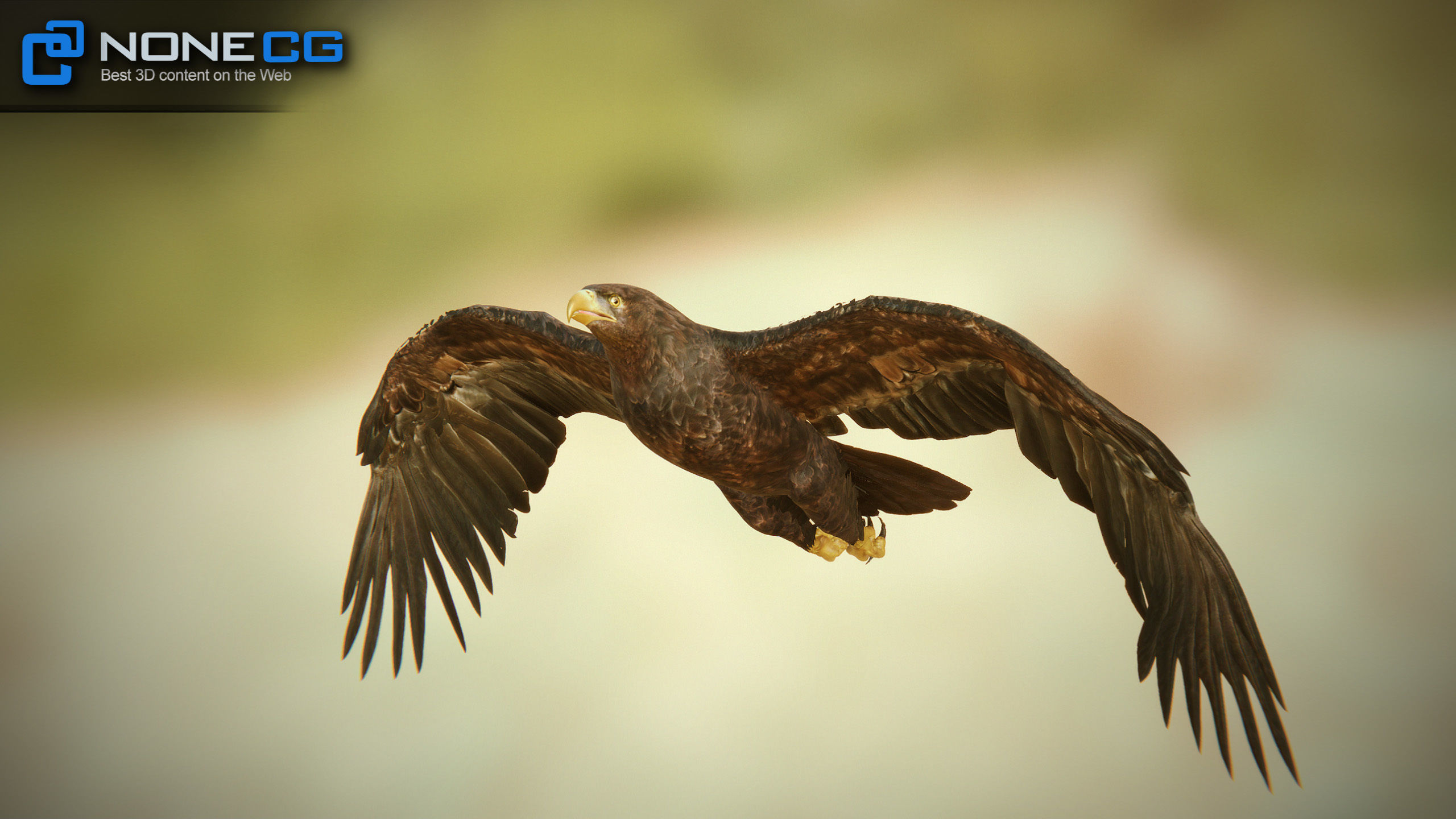 Golden Eagle v3 - Unity Low-poly 3D model_17