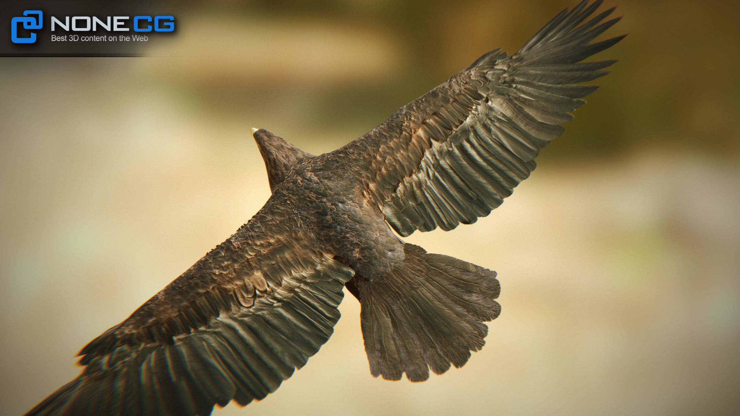 Golden Eagle v3 - Unity Low-poly 3D model_11