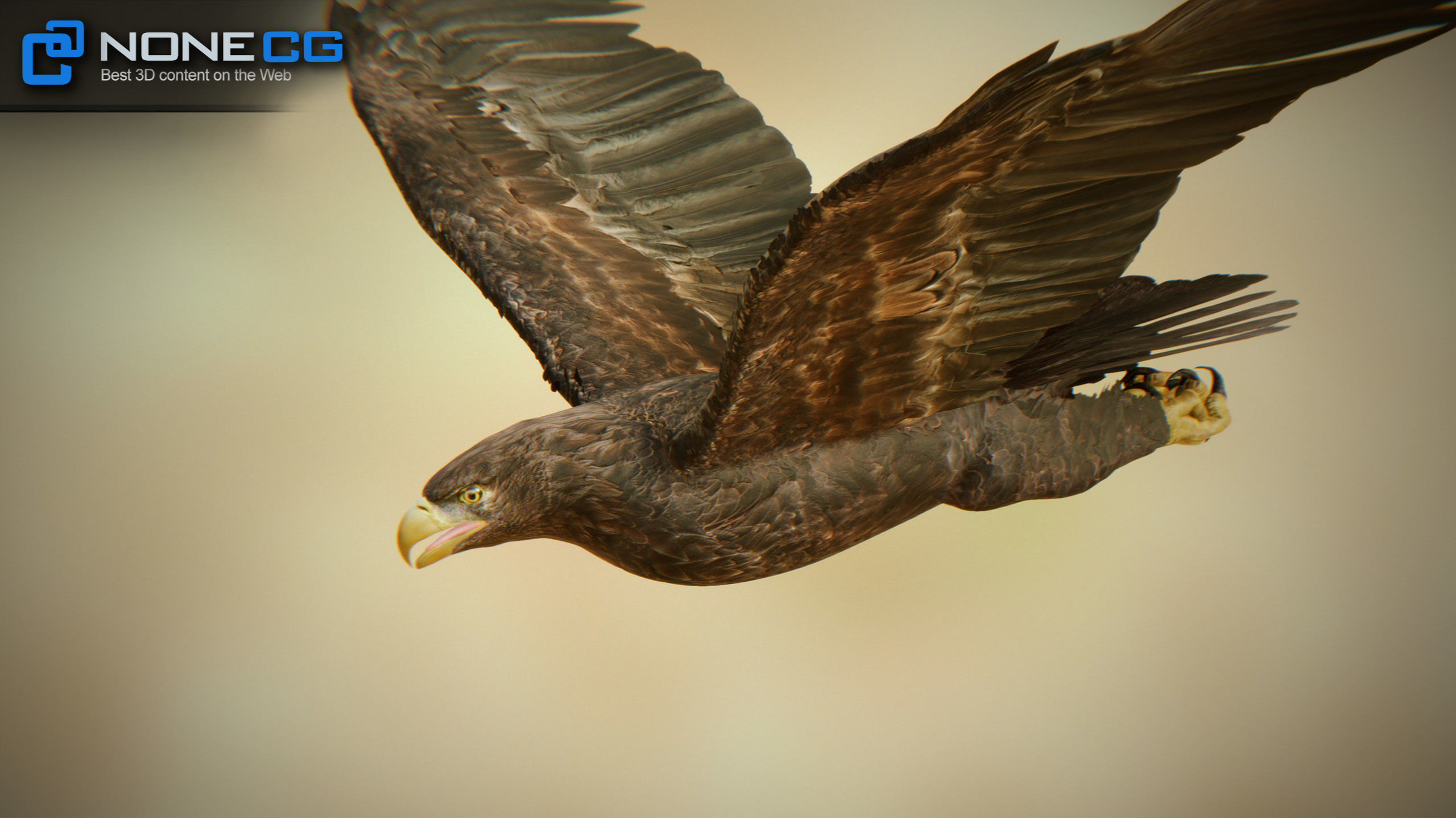 Golden Eagle v3 - Unity Low-poly 3D model_5