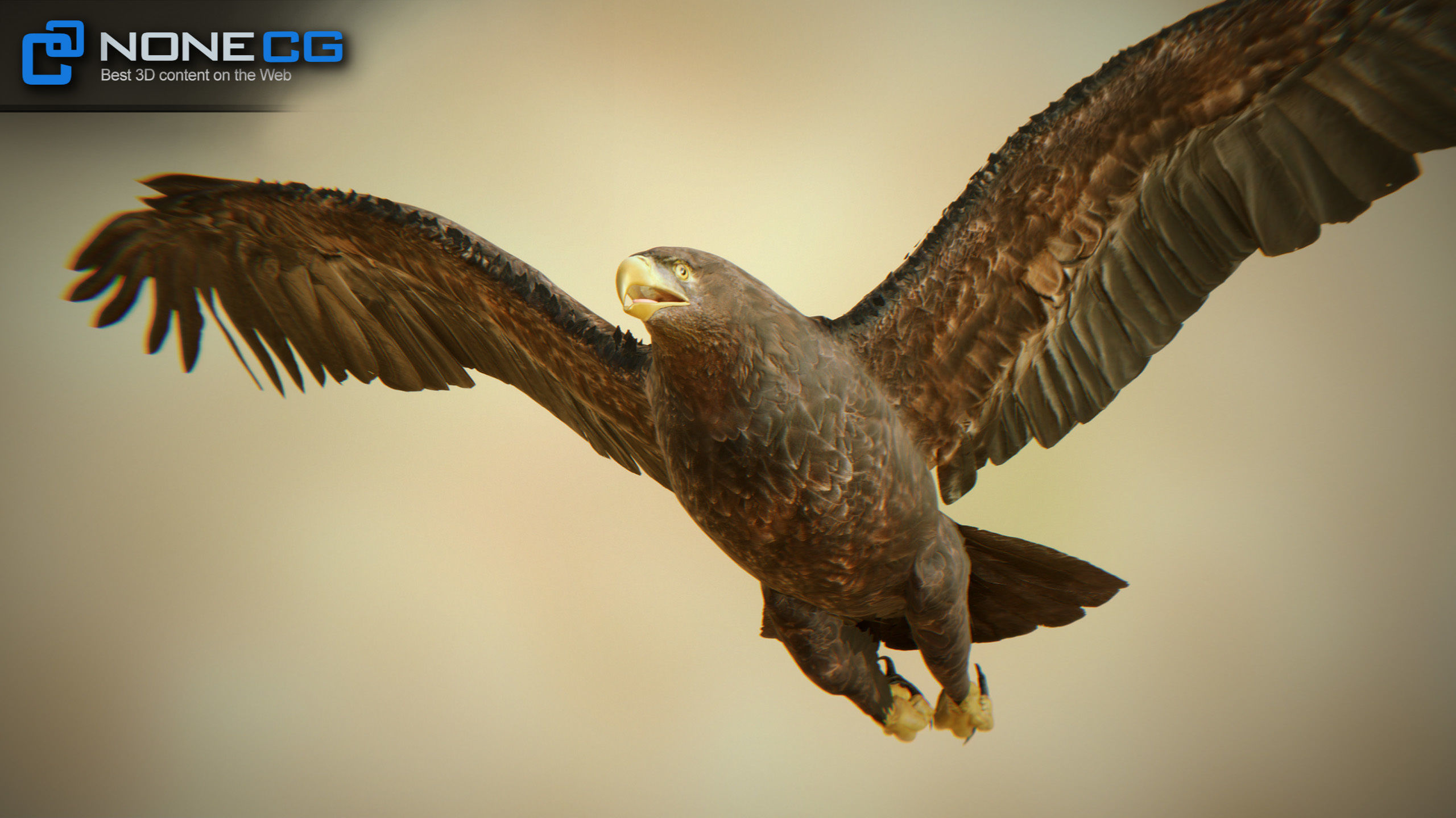 Golden Eagle v3 - Unity Low-poly 3D model_6