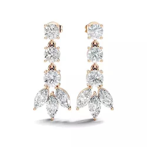 Drops Earrings 
