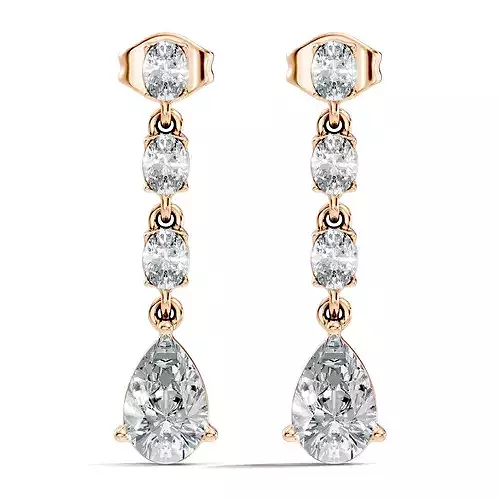 Drops Earrings 