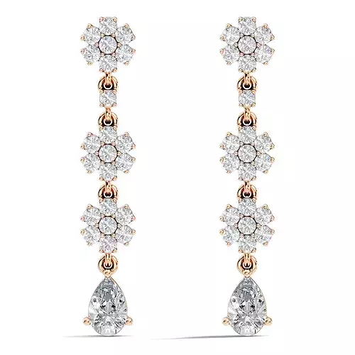 Drops Earrings 