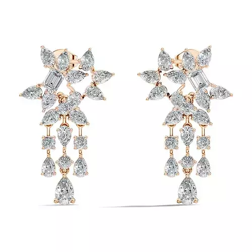 Drops Earrings 