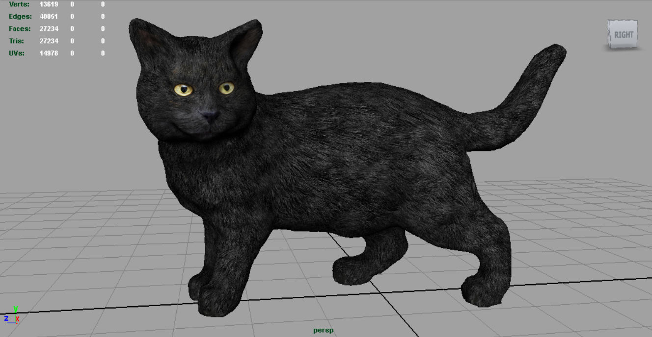 Black Cat Low-poly 3D model_4
