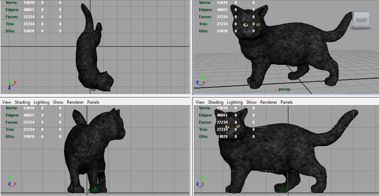 Black Cat Low-poly 3D model_5