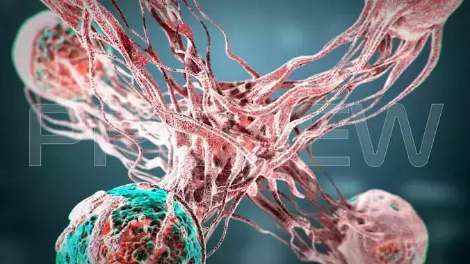 Cancer Static Hipoly Model 3D model