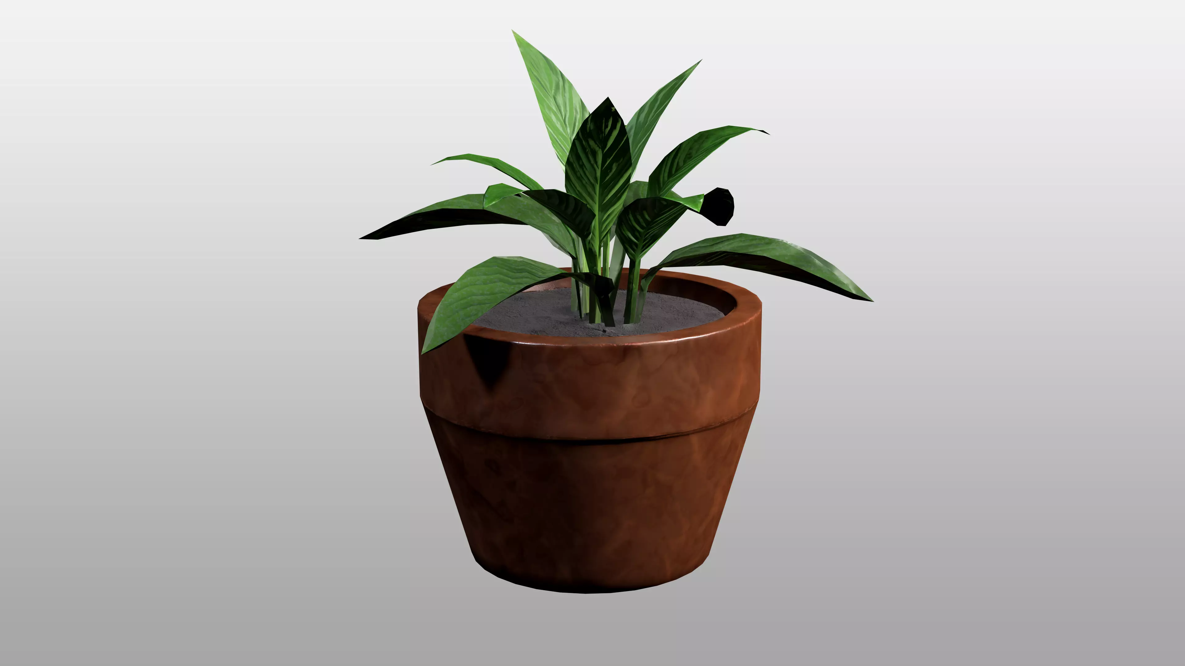 Potted Plant Indoor Houseplant in Ceramic Pot Low-poly 3D model