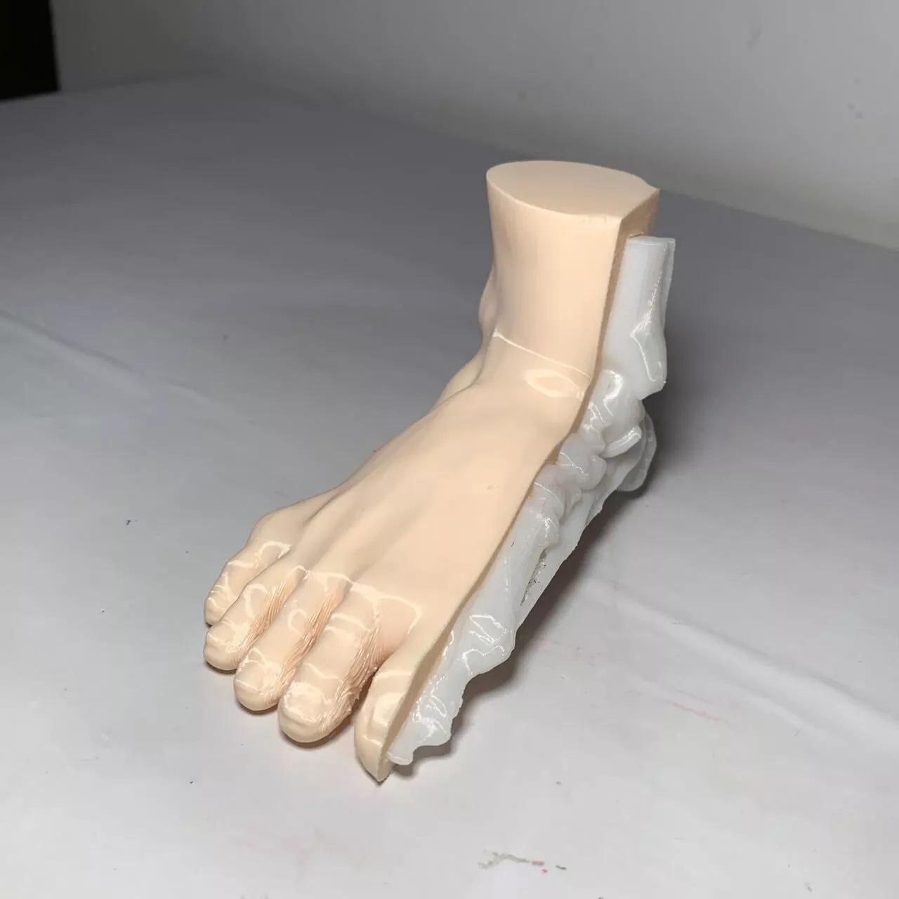 Human Foot Anatomy with Skeleton Multiparts Decorative Statue 3D print model